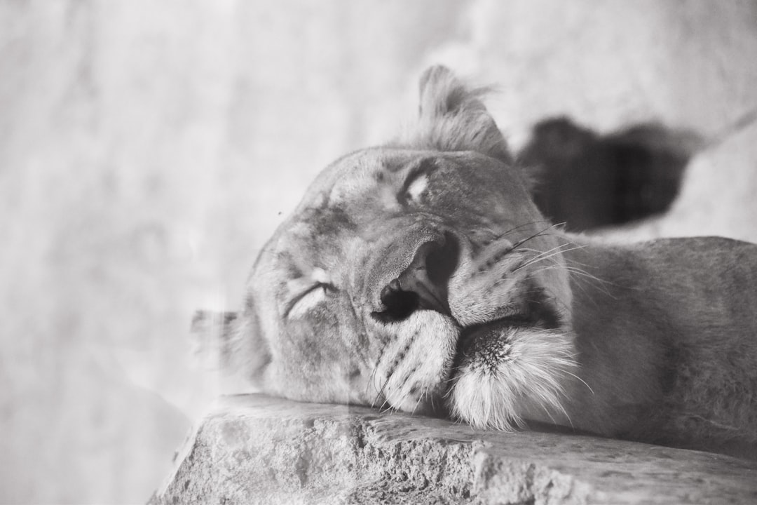 the-10-surprising-ways-sleep-deprivation-wrecks-your-body-1761491322239