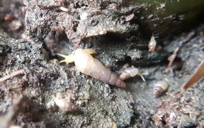 The Art of Connection: Unpacking the Communication Habits of Loved Ones in 2025