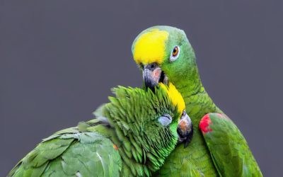 The Art of Connection: Unpacking the Communication Habits of Loved Ones in 2025