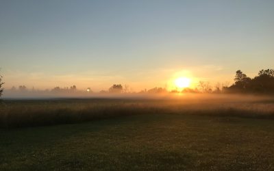 Unlock Your Potential: The Morning Routines of Geniuses Revealed