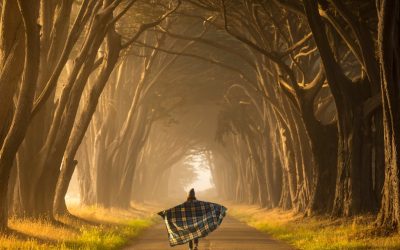 Unlocking Your Potential: The Top 10 Life-Changing Travel Destinations of 2025