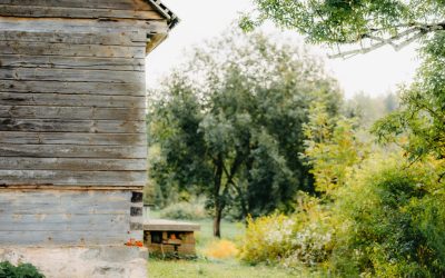 Why Living Simply Makes You Happier: The Path to a More Fulfilling Life