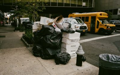 Your Essential Guide to Starting a Zero Waste Life in 2025