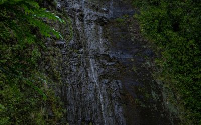 Your Ultimate Guide to Solo Travel: Embrace the Adventure!