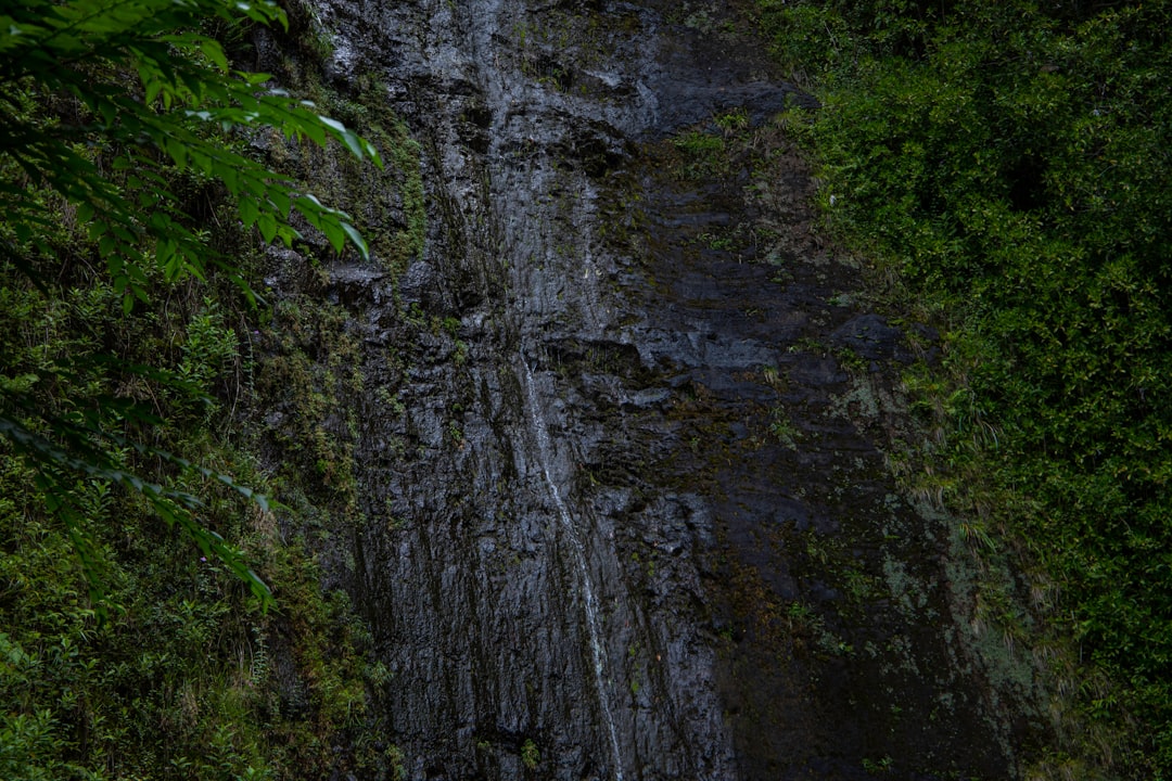 your-ultimate-guide-to-solo-travel-embrace-the-adventure-1761858483142