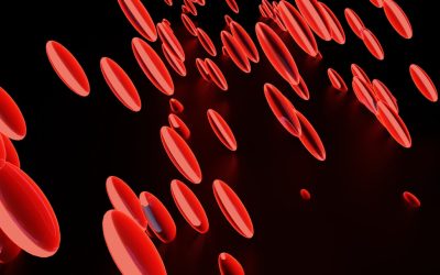 The Enduring Appeal of Blood Type Personality Theories: Fact or Fun?