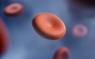 The Enduring Myth: Exploring Blood Type Personality and Compatibility in Modern Culture