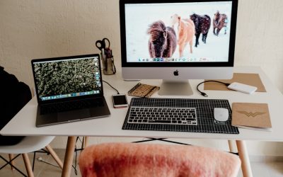 Unlock Your Earning Potential: Profitable Blogging with WordPress in 2025