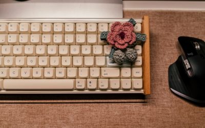 Unlocking Your Earning Potential: A 2025 Guide to Profitable Blogging with WordPress