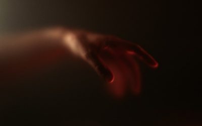 Blood Type and Personality: Unraveling the Cultural Phenomenon and Scientific Reality