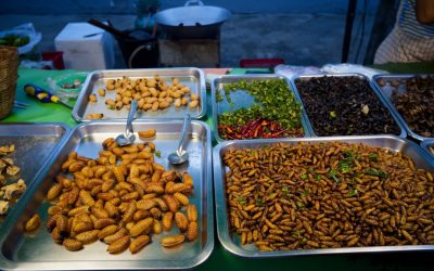 Culinary Adventures: Savoring the World, One Bite at a Time