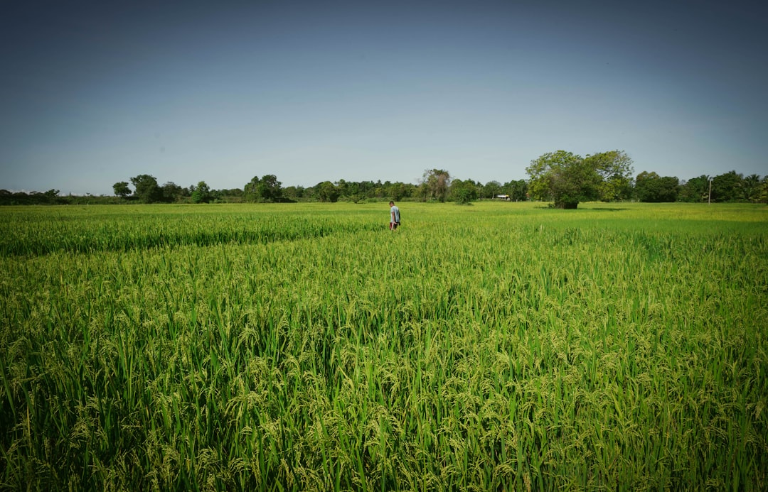 embark-on-a-flavorful-journey-top-foodie-destinations-essential-travel-tips-for-2025-2026-1765303676613