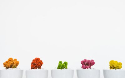 Mastering Swing Trading: Your Guide to Profitable Market Swings in 2025