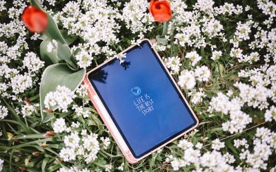 Swing Trading: Navigating Market Swings for Profit in 2025 and Beyond