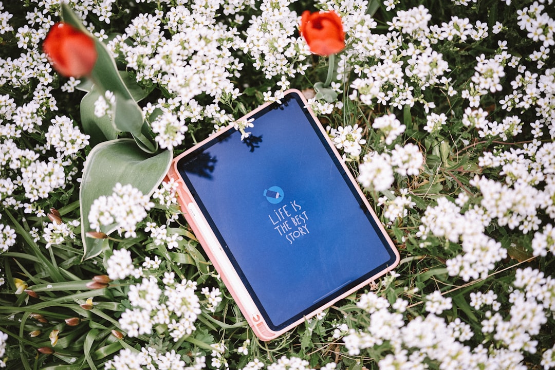 swing-trading-navigating-market-swings-for-profit-in-2025-and-beyond-1765994876384