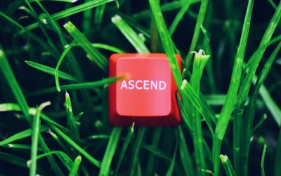 Unlock Your Blog’s Potential: A 2025 Guide to Google AdSense Earnings