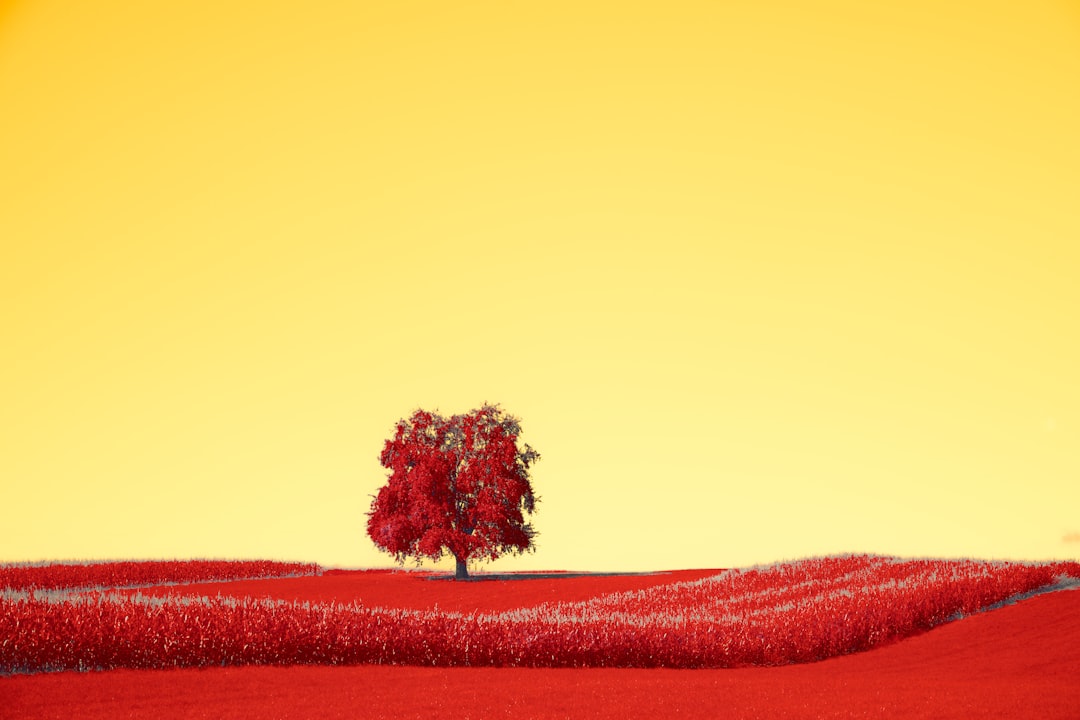 blood-type-personality-fact-or-fiction-unraveling-the-enduring-myth-1767344870774