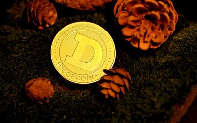 Mastering Crypto Volatility: Your Guide to Dollar-Cost Averaging in 2026