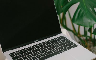 Unlocking Your Earning Potential: Profitable Blogging with WordPress in 2026