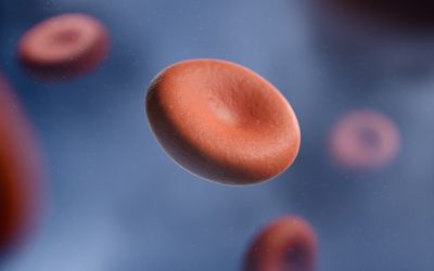 Blood Type and Personality: Fact or Fiction? Unraveling the Popular Beliefs