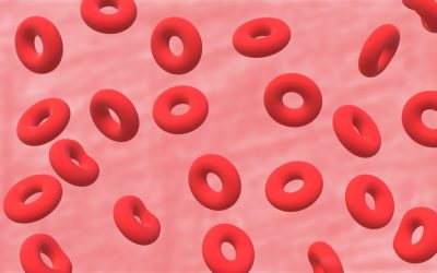 Blood Type Personality: Fact or Fiction? Unraveling the Science Behind the Myth