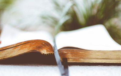 Decoding Love: Navigating Relationships with MBTI Personality Insights in 2026