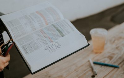 Mastering Google’s E-E-A-T for Blog SEO in 2026: Your Guide to Building Trust and Authority