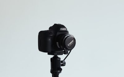 Mastering the Art of Influence: Your 2026 Guide to Becoming a Top Social Media Creator