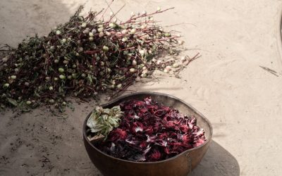 Savor the World: Your Ultimate Guide to Global Culinary Adventures & Travel Tips for 2026