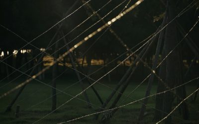 Unlocking Income: A Deep Dive into Options Selling Strategies for Today’s Market