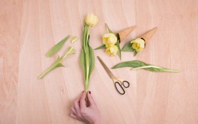 Unlocking Your Blog’s Potential: A 2026 Guide to Google AdSense Earnings