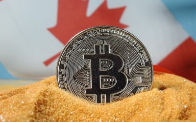 Mastering Crypto Volatility: Your Guide to Dollar-Cost Averaging (DCA) in 2026