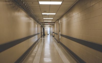 Mastering Google’s Algorithm: Your 2026 Guide to Top Blog Rankings