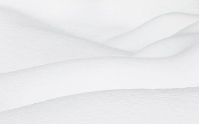 Navigating Love and Connection: The Evolving Role of MBTI in Relationships