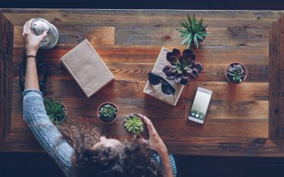 Navigating the Creator Economy: Your 2026 Guide to Becoming a Successful Social Media Influencer