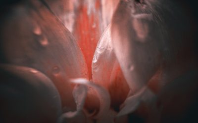 Unlocking the Secrets of Your Blood Type: More Than Just Compatibility