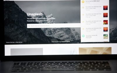 Mastering WordPress for a Profitable Niche Blog in 2026