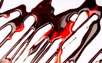 Unlocking the Mystery: A Deep Dive into Blood Type Personality Theories 🧐