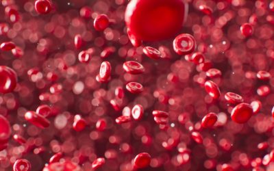 Decoding You: The Enduring Allure of Blood Type Personality Theories
