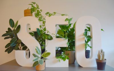 Mastering Google Rankings in 2026: Your Essential Guide to SEO Success