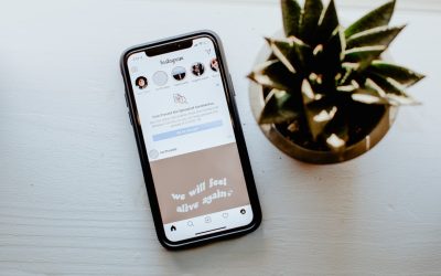 The 2026 Influencer Playbook: Mastering YouTube, Instagram, TikTok, and Facebook