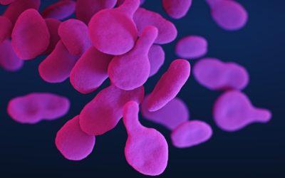 The Science Behind Your Blood Type: Beyond Compatibility and Myths