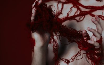 Decoding Your Destiny? The Truth About Blood Type Personality Theories 🩸