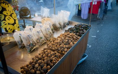 Savor the World: Your Ultimate Guide to Global Food Travel & Top Destinations in 2026