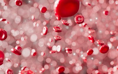 The Enduring Appeal of Blood Type Personality: A Cultural Deep Dive